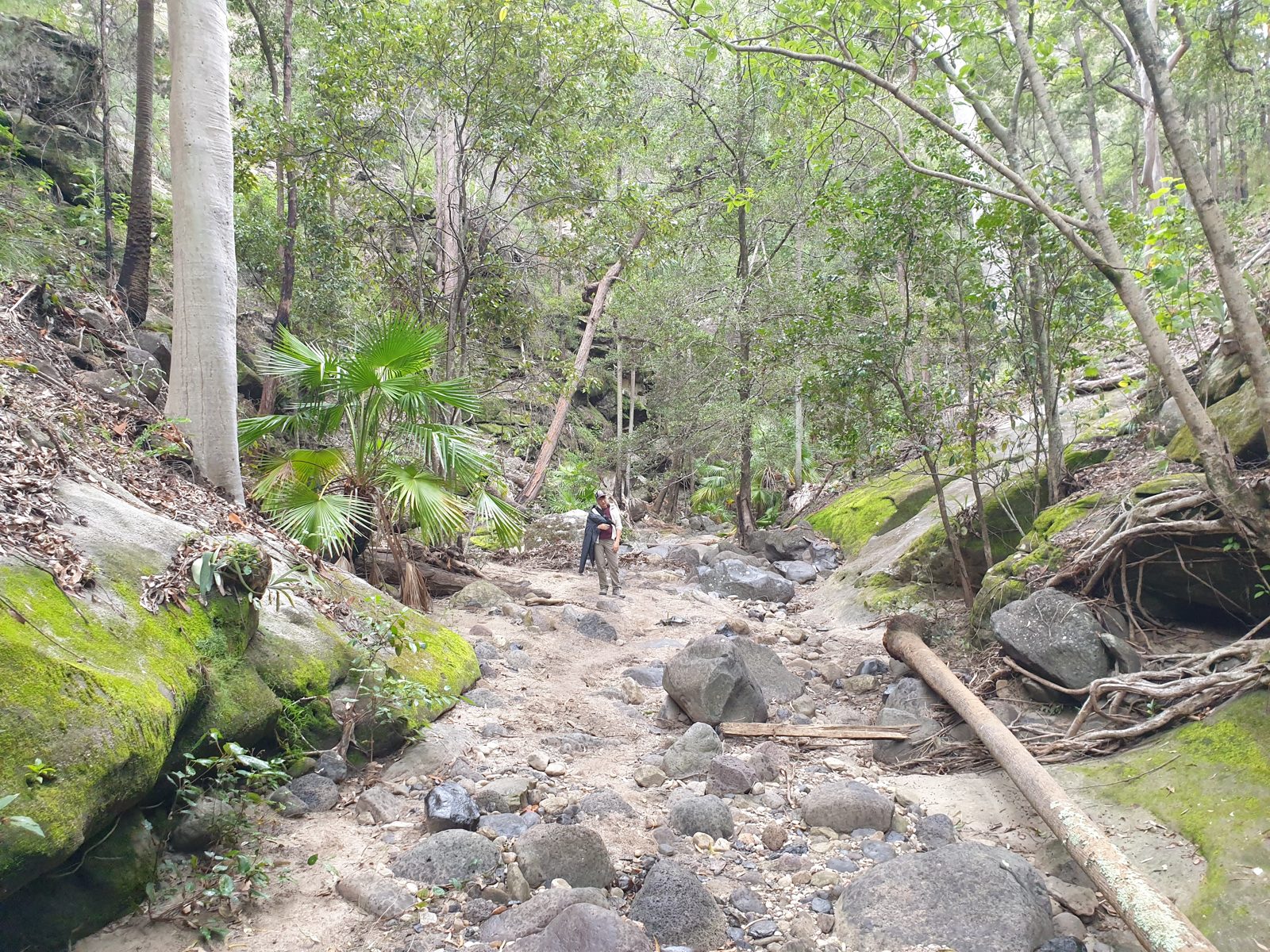 Mickey Creek walk