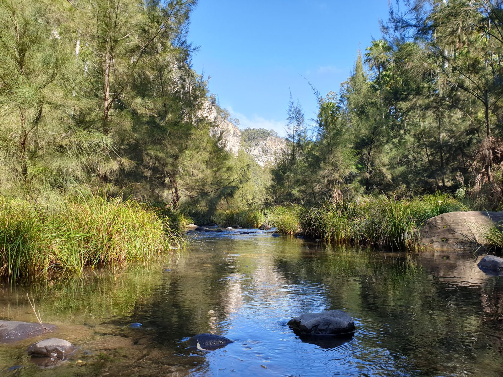 The walk crosses the creek many times