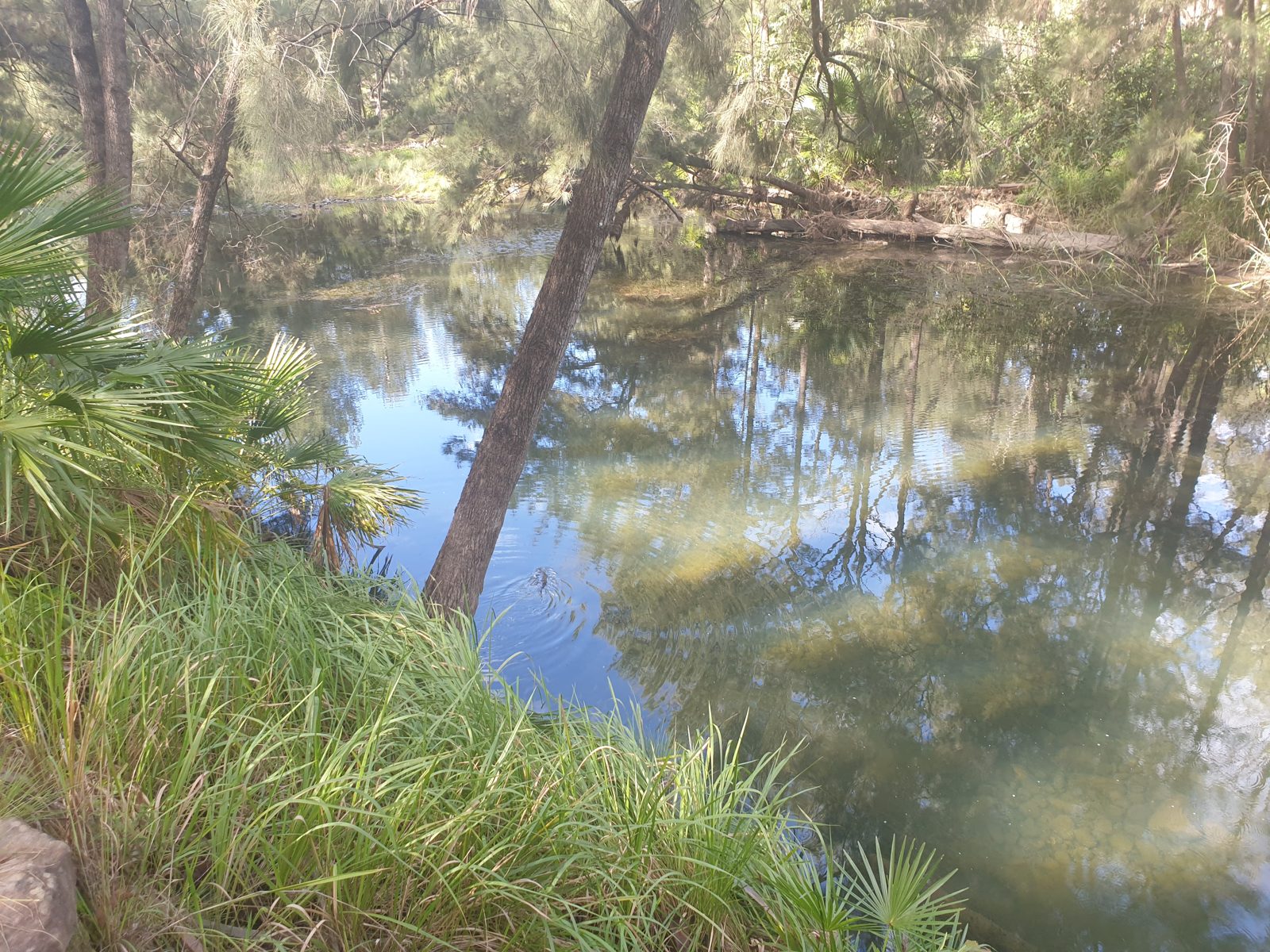Checked out the platypus again